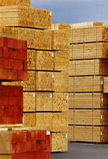 Lumber Yard